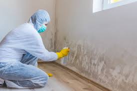  Bayou Country Clu, LA Mold Removal & Remediation Pros